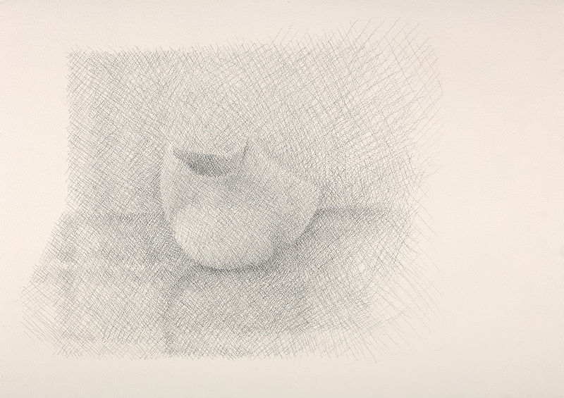 William Wilkins, Still Life. Pencil on paper, 36 x 51cm, 2026